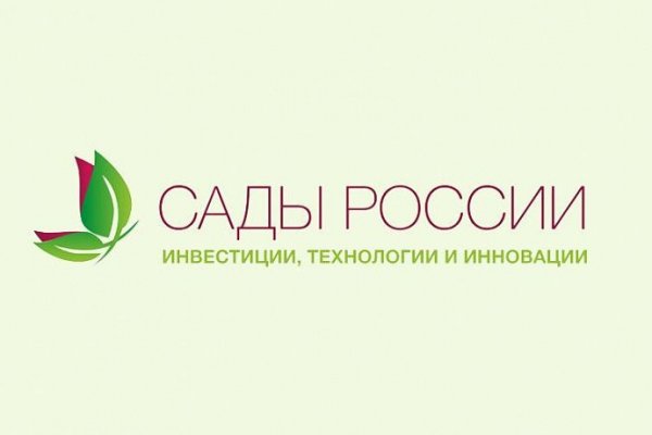 Оригинальный сайт кракен