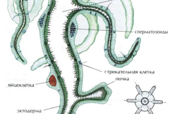 Кракен зеркало на сегодня