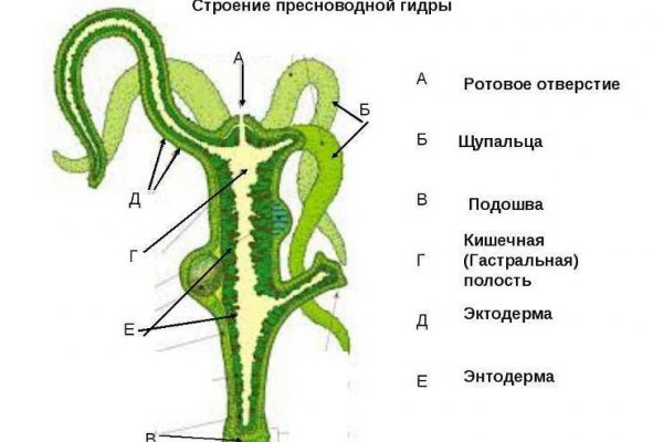 Гидра ссылка hydra ssylka onion com