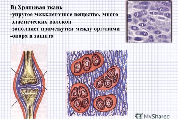 Как зайти на кракен